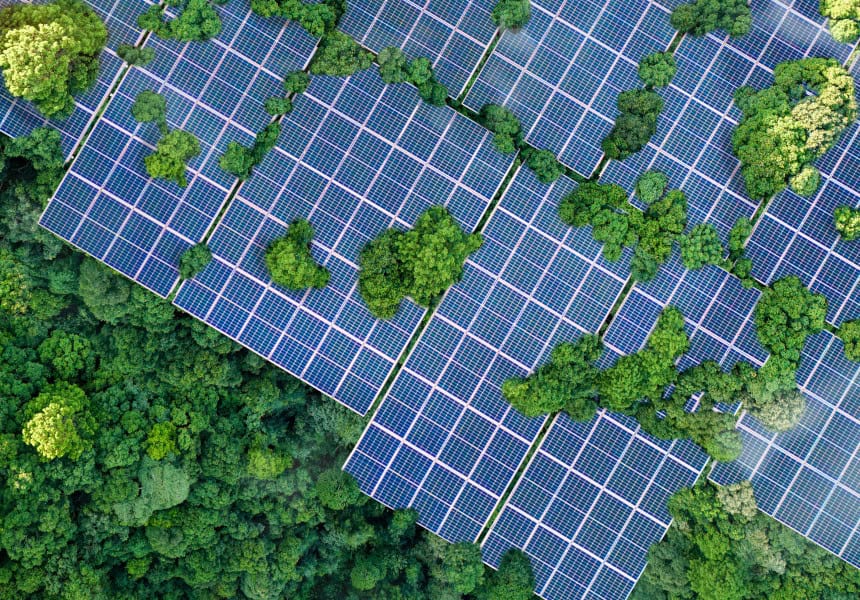 Solaranlage, etwas überwuchert von Pflanzen und Bäumen, Symbolbild Recycling von Solarpanelen
